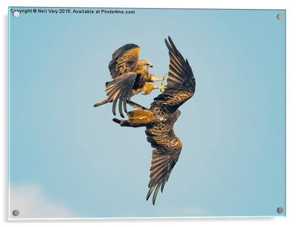 Battle for the sky Acrylic by Neil Vary