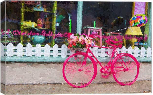  The pink bicycle Canvas Print by Sheila Smart