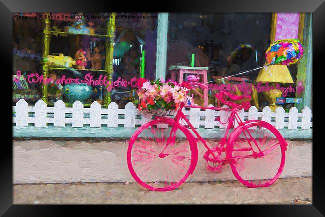  The pink bicycle Framed Print by Sheila Smart