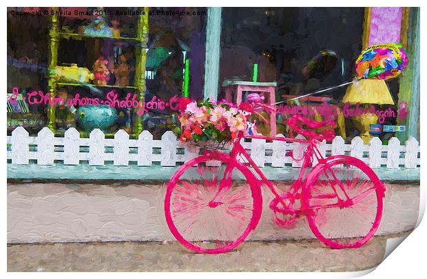  The pink bicycle Print by Sheila Smart
