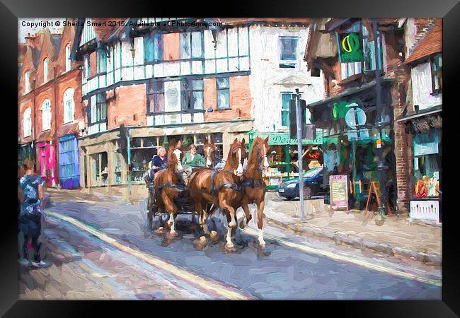  Horse carriage in Lyndhurst Framed Print by Sheila Smart