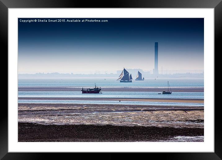  Thames sailing barges at Southend on Sea Framed Mounted Print by Sheila Smart