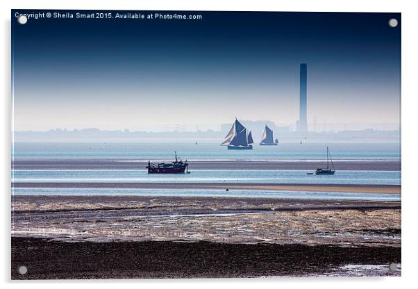  Thames sailing barges at Southend on Sea Acrylic by Sheila Smart