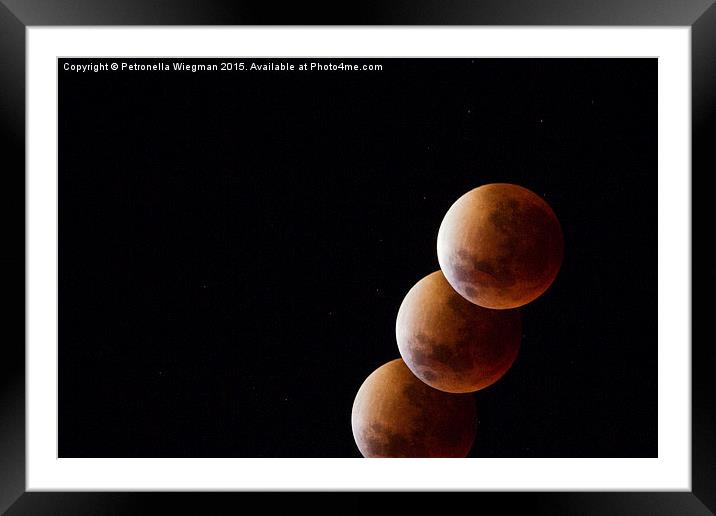  Blood moon Framed Mounted Print by Petronella Wiegman