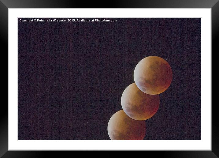  Blood moon Framed Mounted Print by Petronella Wiegman