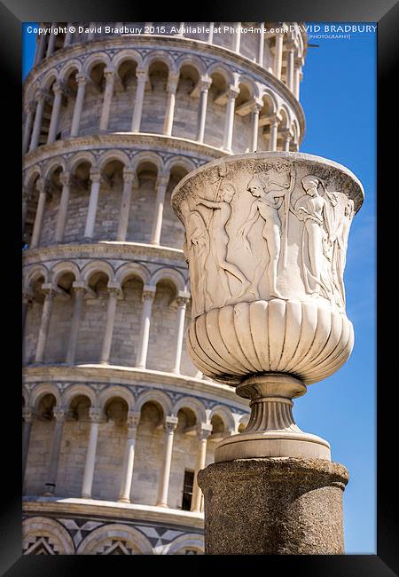  Pisa Urn Framed Print by David Bradbury