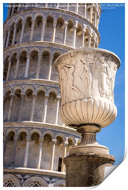  Pisa Urn Print by David Bradbury