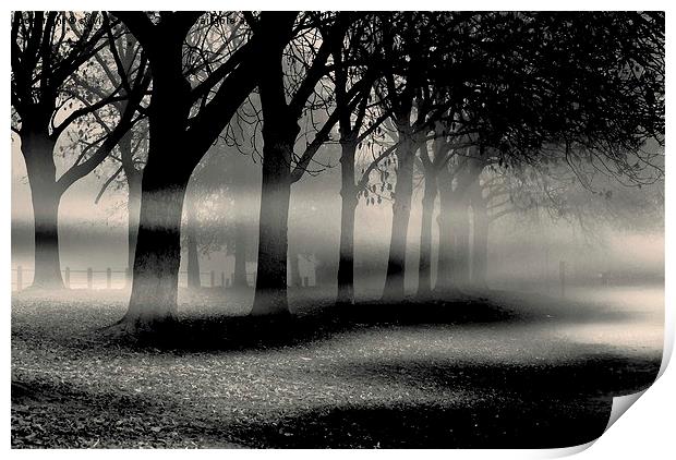  Mist and Mystery  Print by sylvia scotting