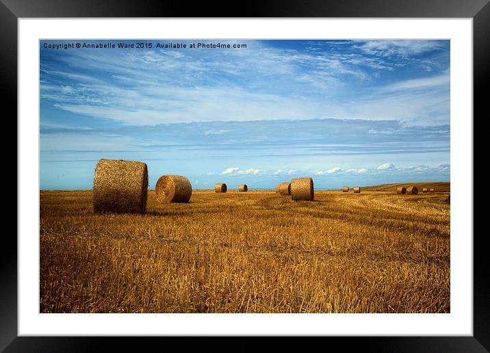  Straw Bale Fields Forever. Framed Mounted Print by Annabelle Ward