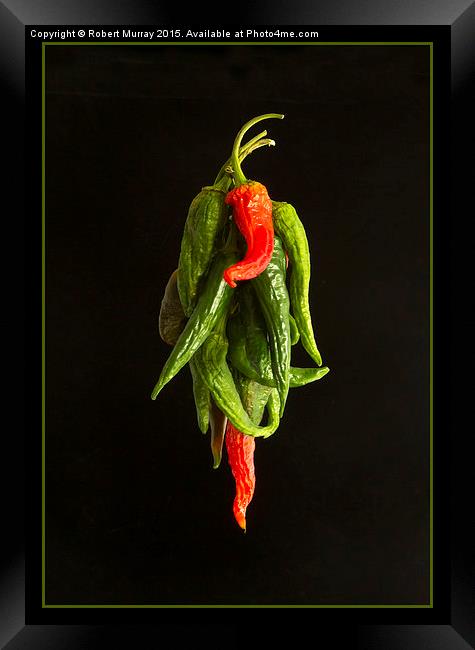  Drying the Chillies Framed Print by Robert Murray