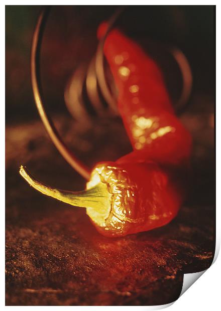 Red pepper Print by Jean-François Dupuis
