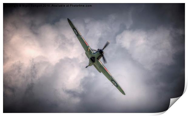 Hawker Hurricane Print by Nigel Bangert
