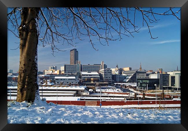 Sheffield City Centre viewed from Park Hill  Framed Print by Darren Galpin