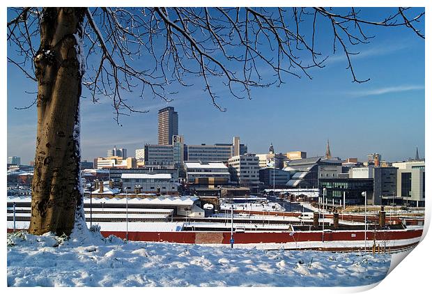 Sheffield City Centre viewed from Park Hill  Print by Darren Galpin