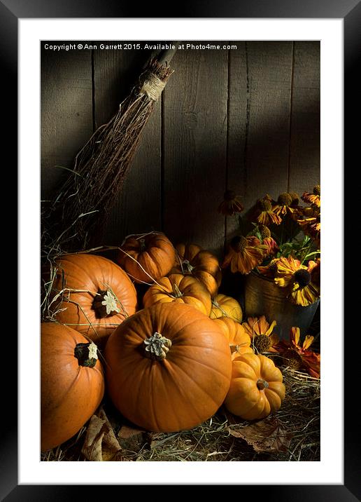 Autumn Bounty Framed Mounted Print by Ann Garrett