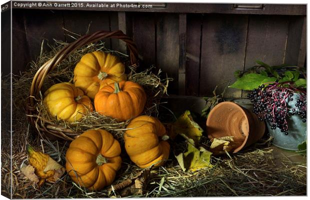 Pumpkins in a Basket Canvas Print by Ann Garrett