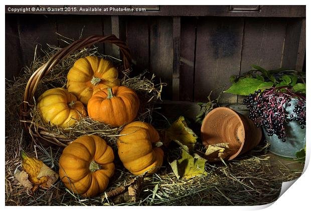 Pumpkins in a Basket Print by Ann Garrett