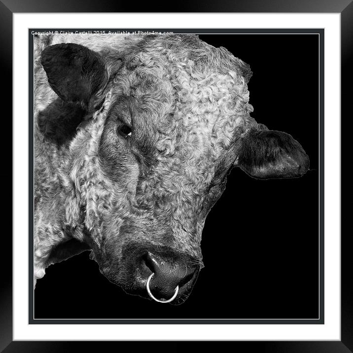  Bull Ring! Framed Mounted Print by Claire Castelli