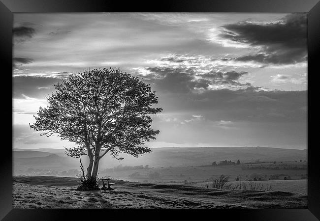 Sunset behind the Nowhere Tree Framed Print by Malcolm McHugh