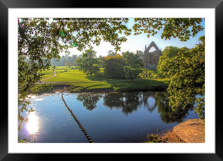  Bolton Abbey 2 Framed Mounted Print by Colin Williams Photography