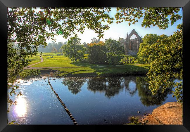  Bolton Abbey 2 Framed Print by Colin Williams Photography