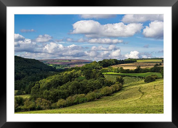  Surprise View Framed Mounted Print by Colin Metcalf