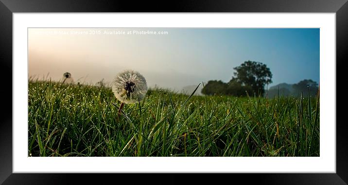  Misty Dandelion clock Framed Mounted Print by Max Stevens