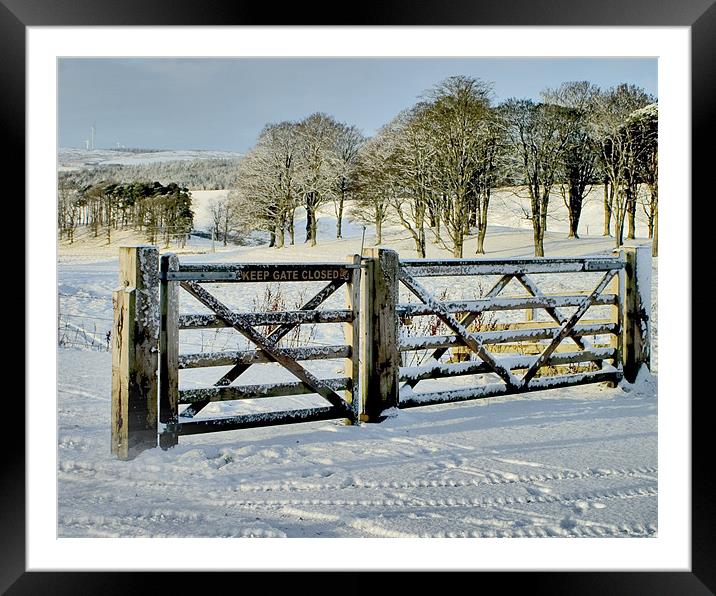 keep gate closed Framed Mounted Print by Tommy Reilly