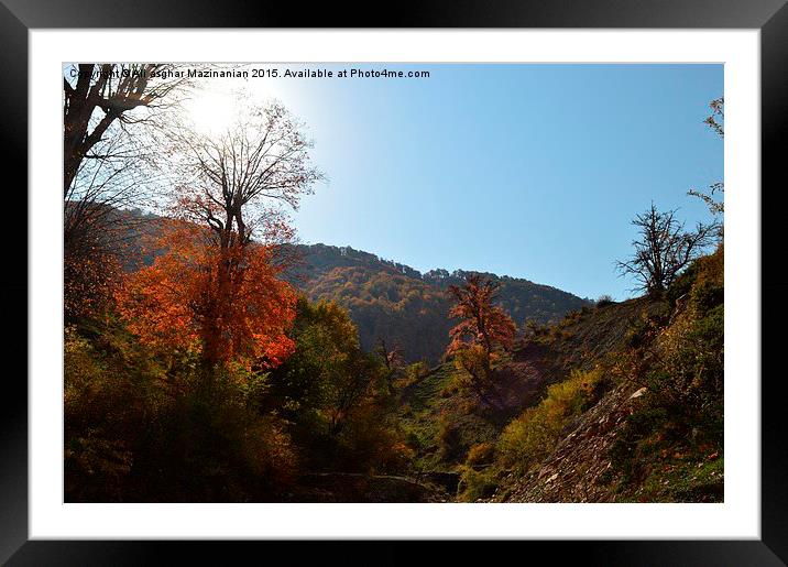  A nice view of Autumn in OLANG jungle, Framed Mounted Print by Ali asghar Mazinanian