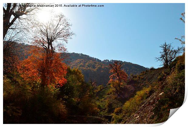  A nice view of Autumn in OLANG jungle, Print by Ali asghar Mazinanian