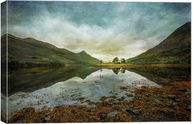 Scottish Loch and Island Canvas Print by nick coombs