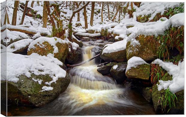 Snow in Padley Gorge  Canvas Print by Darren Galpin