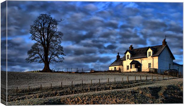 The Farm Canvas Print by Tommy Reilly