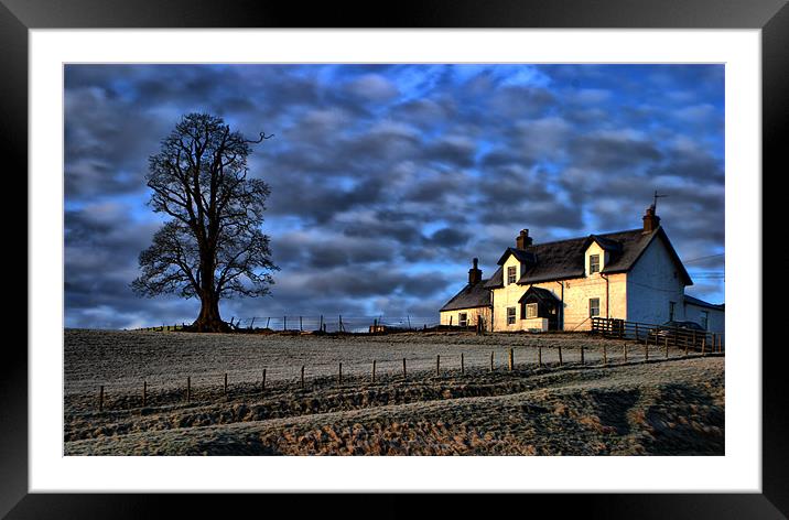The Farm Framed Mounted Print by Tommy Reilly