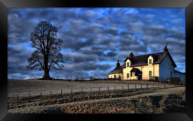 The Farm Framed Print by Tommy Reilly