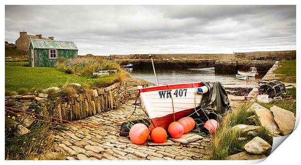 Little Harbour Print by nick coombs