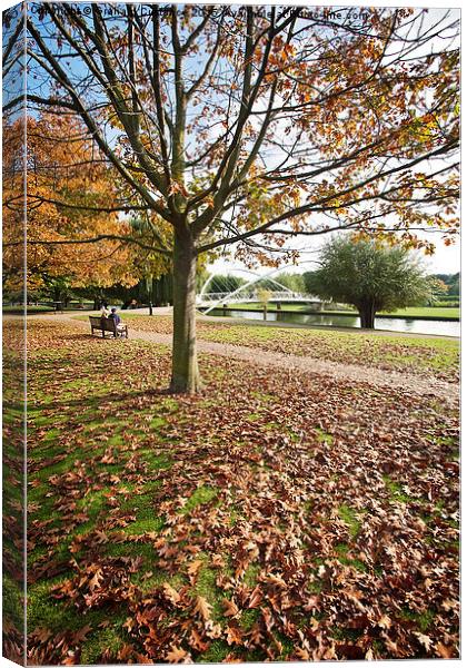 Bedford Embankment in Autumn Canvas Print by Graham Custance