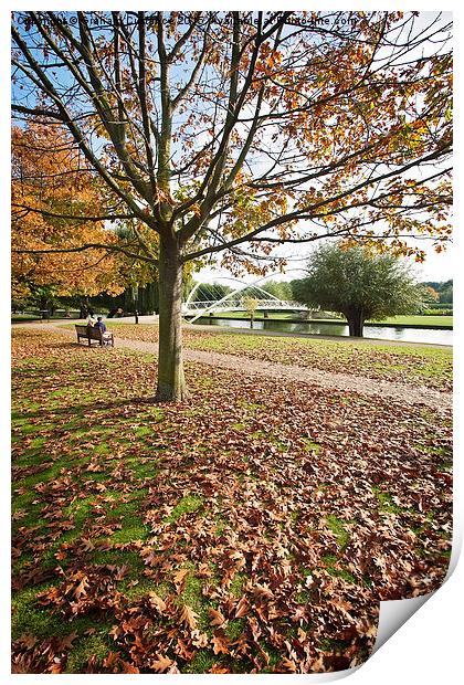 Bedford Embankment in Autumn Print by Graham Custance