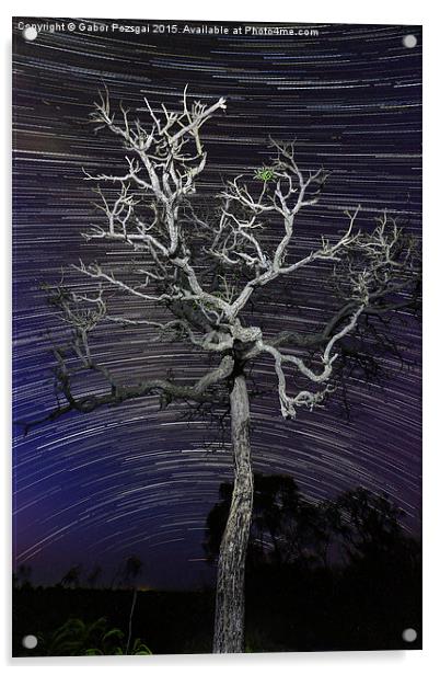 Star trails in the cerrado Acrylic by Gabor Pozsgai