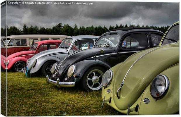  VW Beetles Canvas Print by shawn bullock