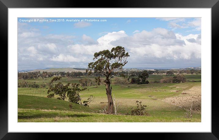  Kilmore, Victoria, Australia Framed Mounted Print by Pauline Tims
