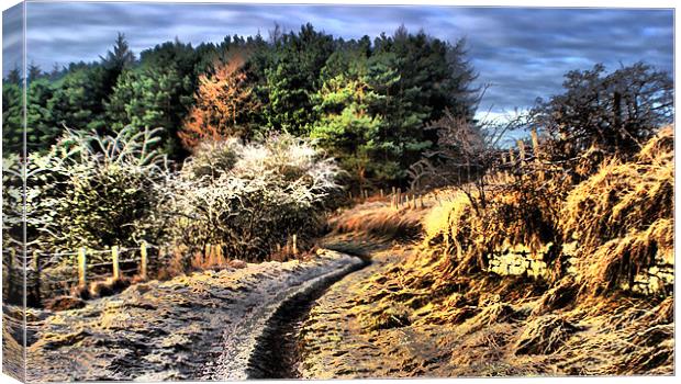 the right path Canvas Print by Tommy Reilly
