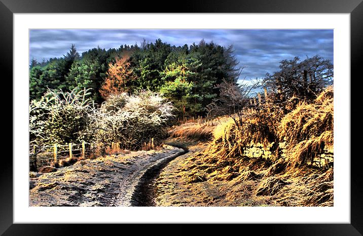 the right path Framed Mounted Print by Tommy Reilly