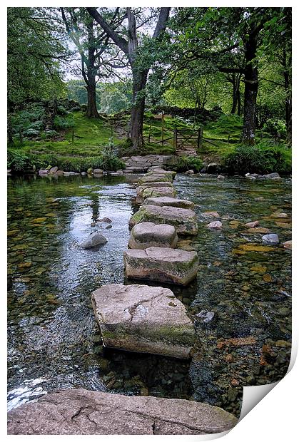 Stepping Stones River Esk.Cumbria Floods Appeal Print by Jacqi Elmslie