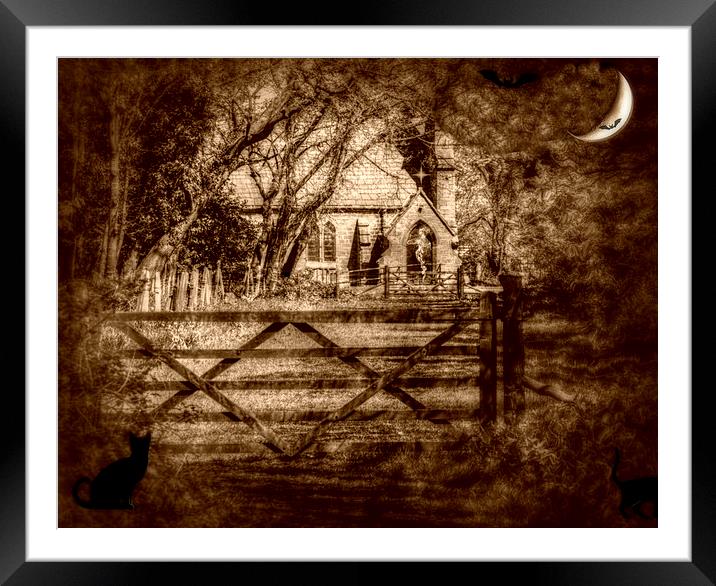  spooky Framed Mounted Print by sue davies