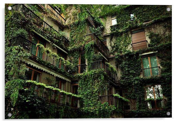 Ivy Building Acrylic by Adam Szuly