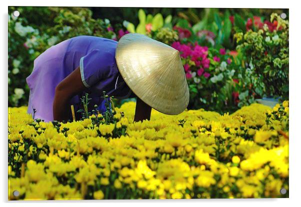 Vietnamese gardener Acrylic by Adam Szuly