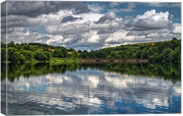 Ulley Country Park Reflections  Canvas Print by Darren Galpin