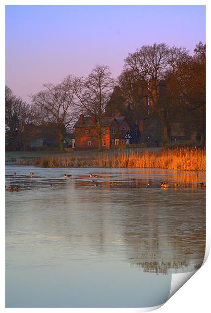 Dawn on the Lake Print by Stuart Thomas