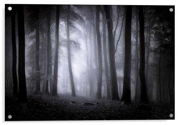  Misty Woodland Acrylic by Ian Hufton